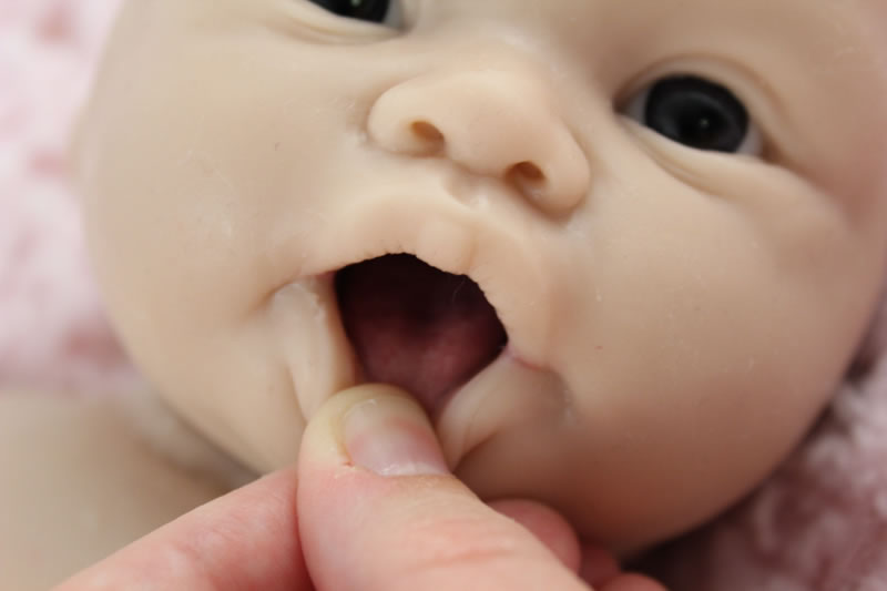 platinum silicone reborn babies