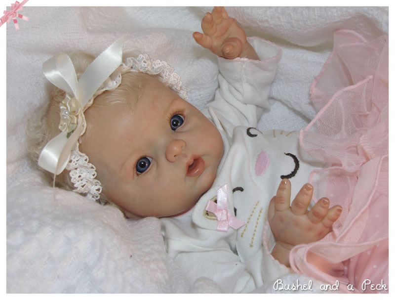Bushel and a deals peck reborn dolls